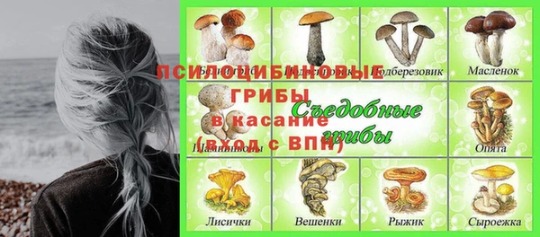 мяу мяу мука Абаза