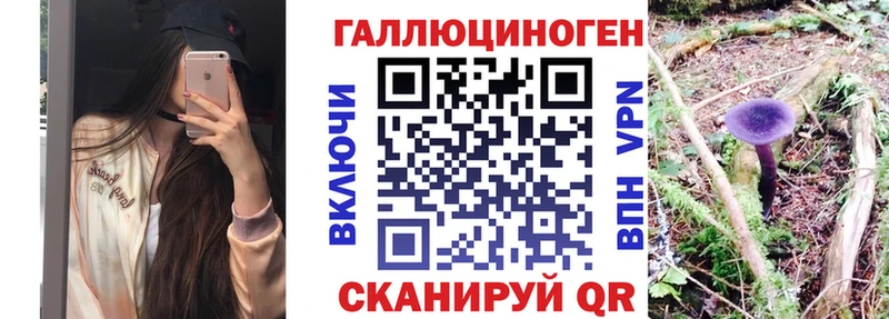 Псилоцибиновые грибы GOLDEN TEACHER  купить наркоту  Чегем 